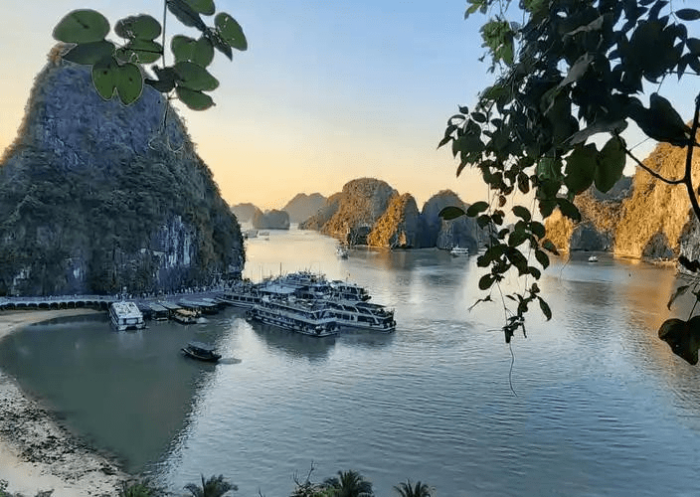 越南 簽證