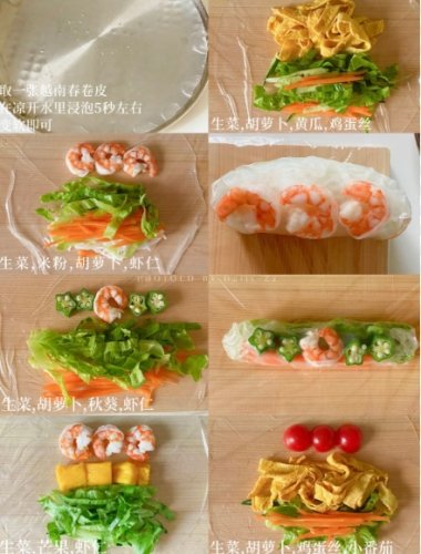 越南春捲皮