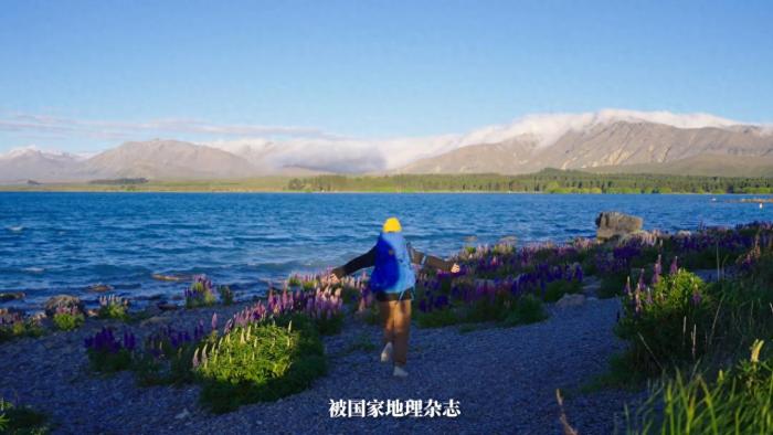 紐西蘭蒂卡波湖風景