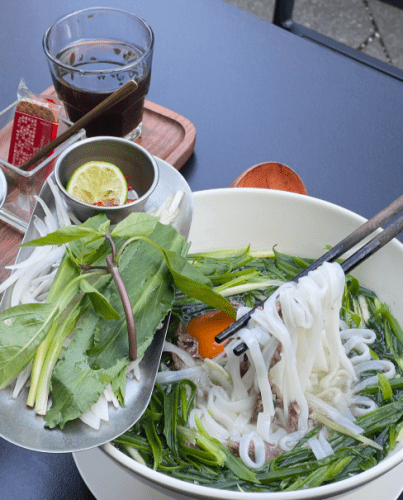 越南河粉食譜 越南河粉食譜