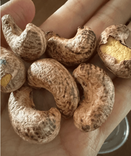 越南腰果推薦 越南腰果推薦